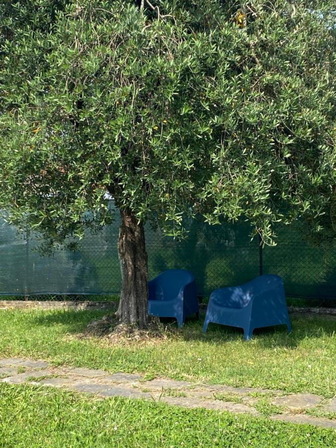 הוילה לוקה Casa Marcobando מראה חיצוני תמונה